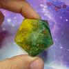 d20 Jumbo: Dendria 5